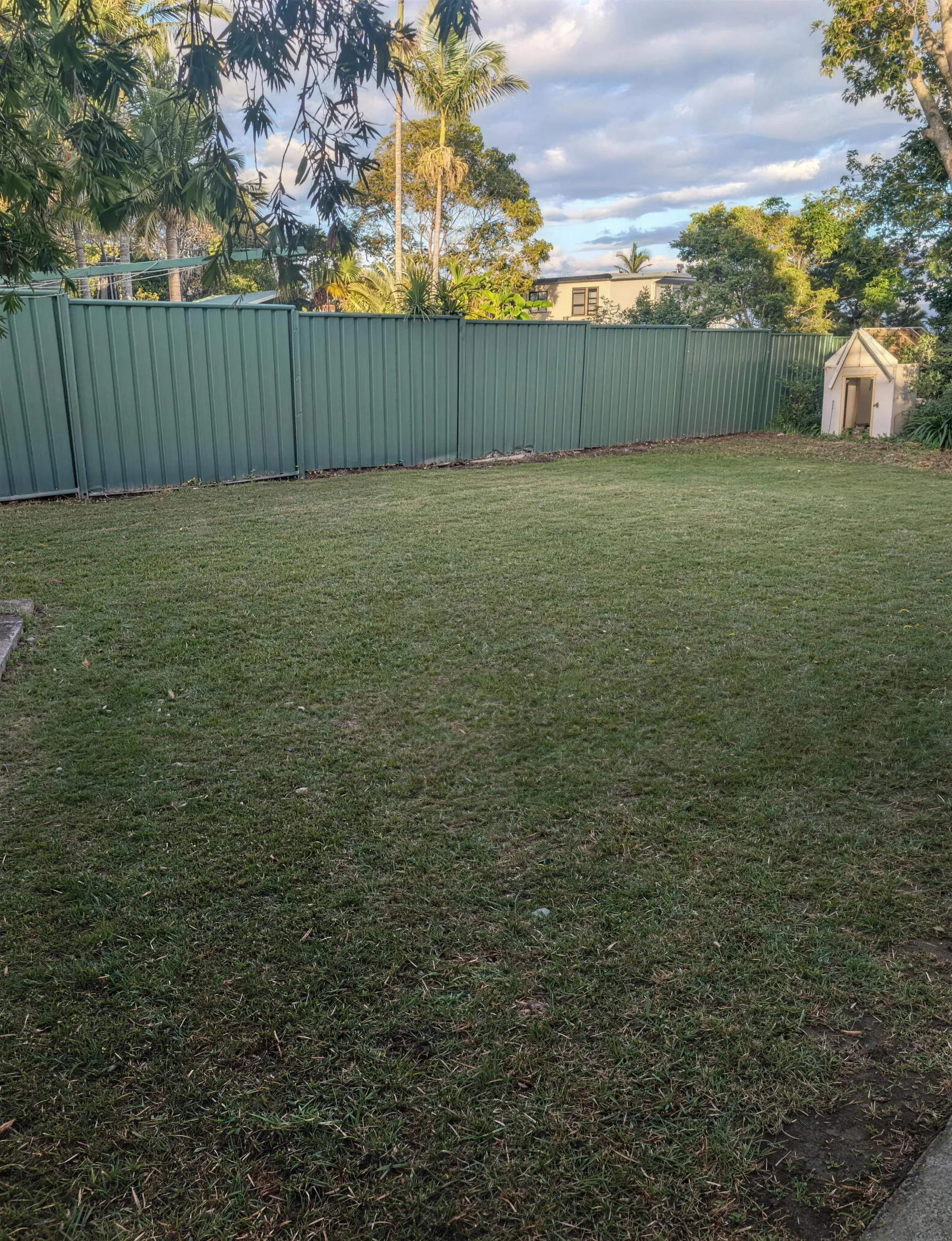 A tidy square of lawn framed by a trimmed golden hedge