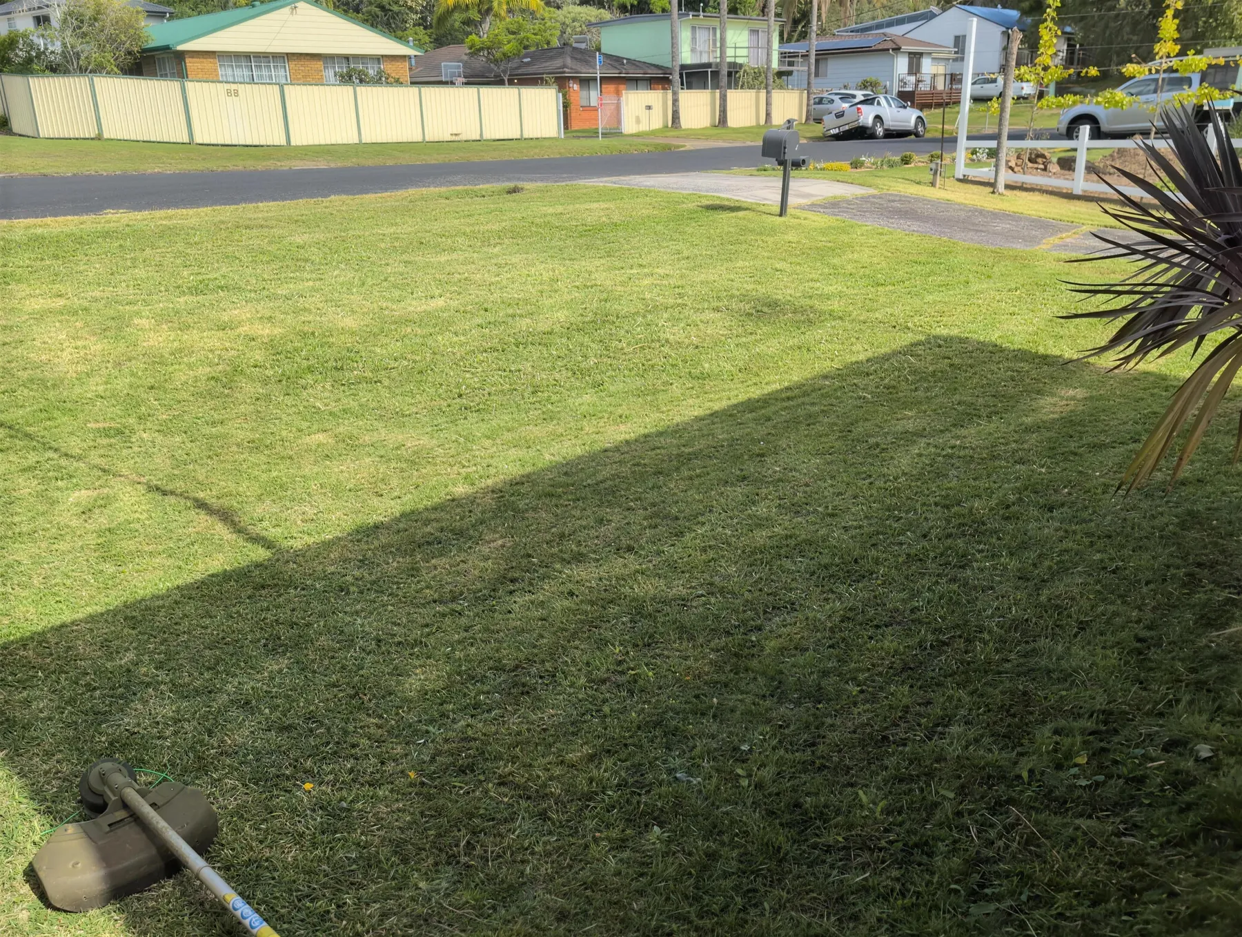 A wide front lawn mown with visible stripes on a quiet street